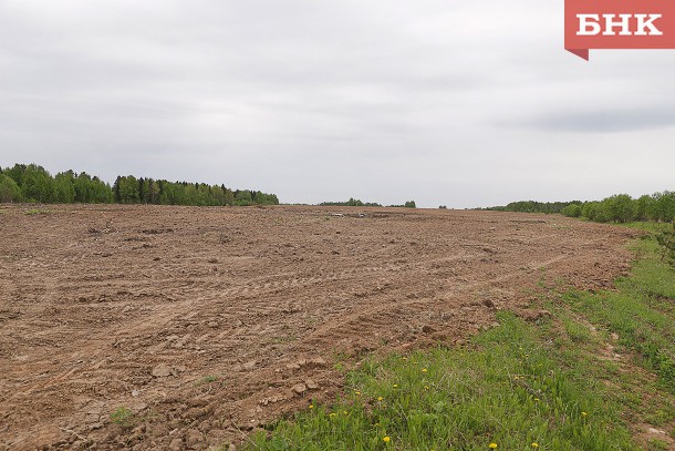 В Коми в 2020 году намерены произвестковать в четыре раза больше почв