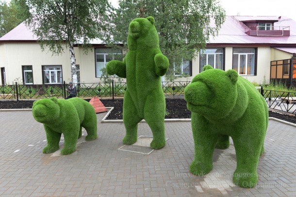 На площади Гагарина в Сосногорске поселили зеленых медведей