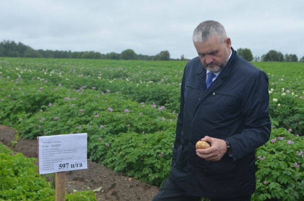 Аграриям Коми поставили задачу обновить технику для картофелеводства