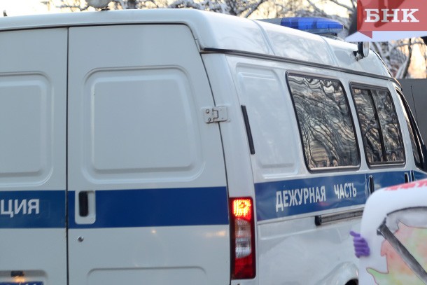 Полиция задержала педофила в Сыктывкаре