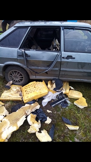 В сыктывдинской деревне медведь наелся мыла и атаковал автомобиль
