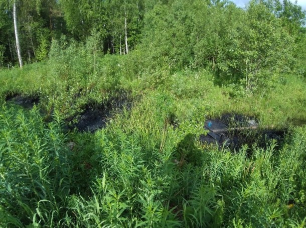 Дело о разливе нефтесодержащей жидкости в удорском лесу прекращено