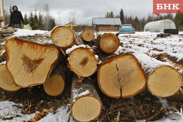 В Коми заготовка дров с 2021 года подешевеет на четверть