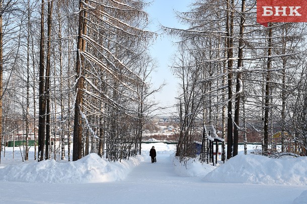 В Кировском парке Сыктывкара в новогодние выходные будет дежурить полиция 
