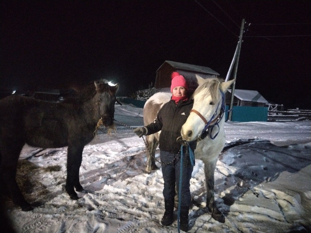 Из Усть-Куломского района вывезли замерзающих лошадей