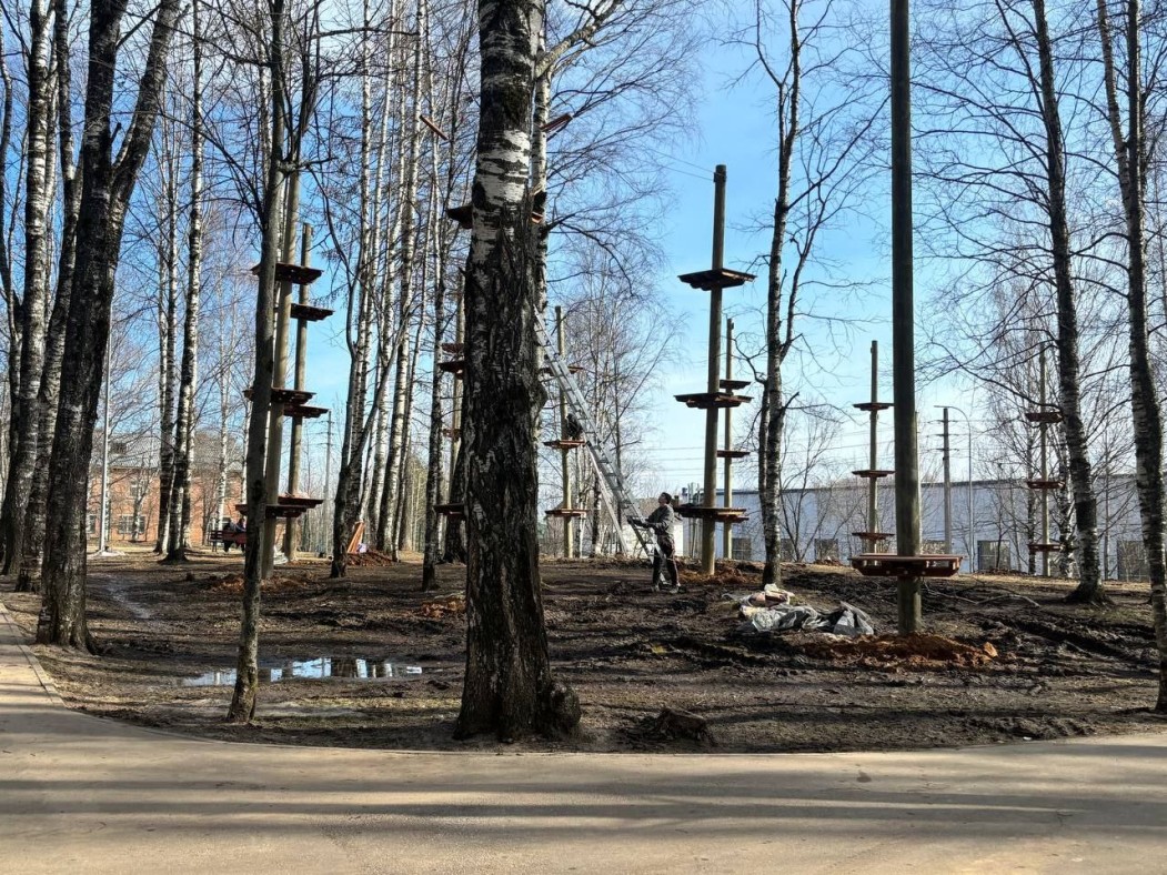 Мэрия Сыктывкара рассказала, будут ли вырубать деревья в Мичуринском парке