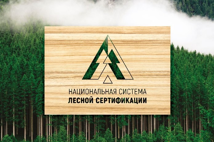 В Коми состоится семинар по национальной системе лесной сертификации