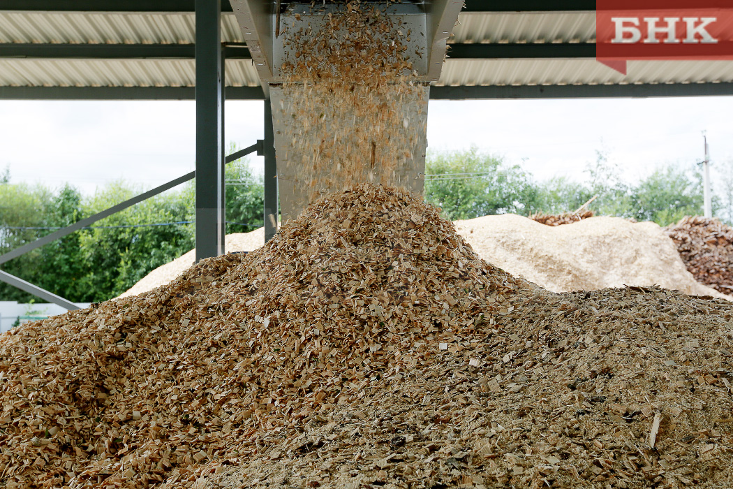 Правительство Коми поможет Жешартскому ЛПК стабилизировать работу