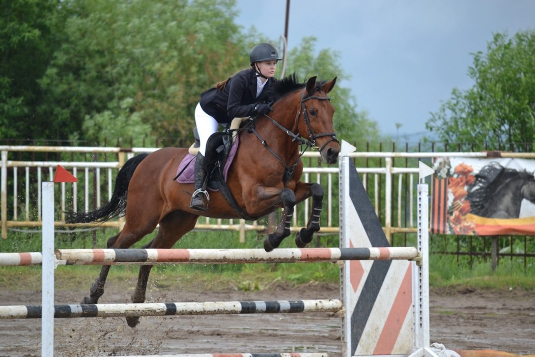 В Коми подвели итоги по чемпионату и первенству Республики Коми по конкуру