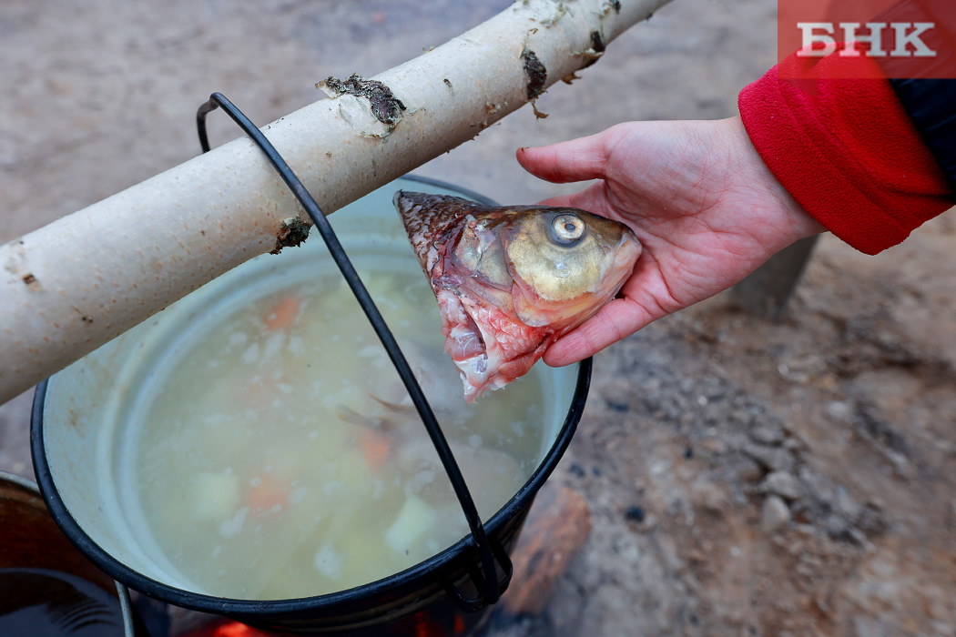 Названа самая популярная рыба у россиян