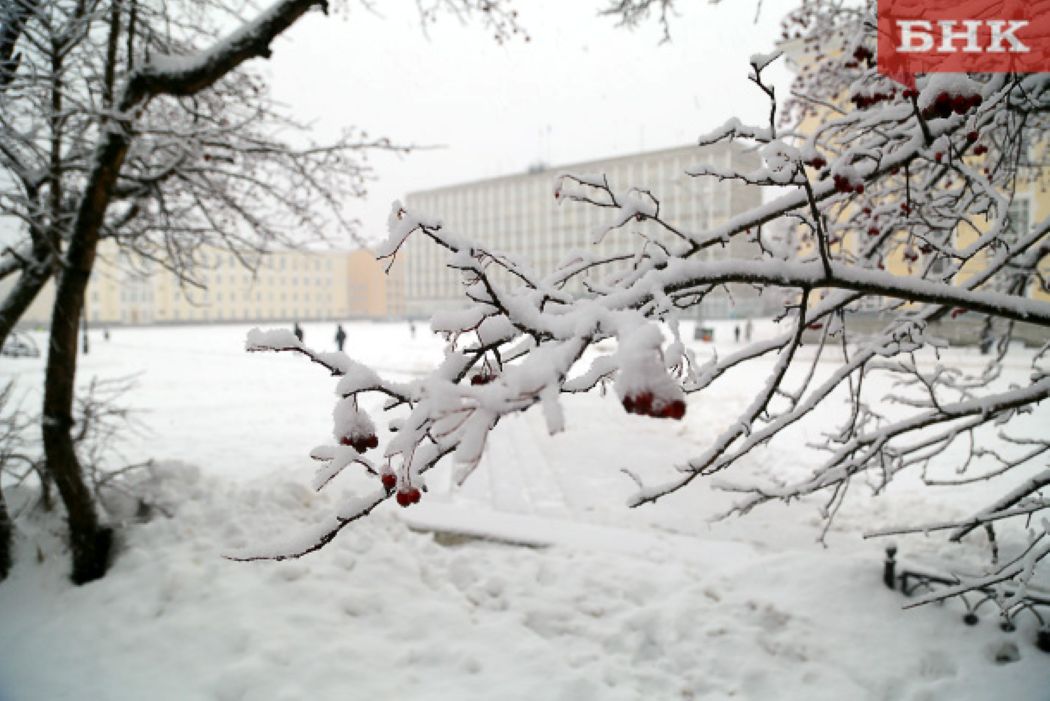 Снегом завалит южные районы Коми