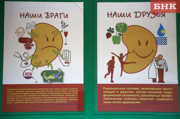 Врач назвала три причины, которые могут незаметно разрушить почки