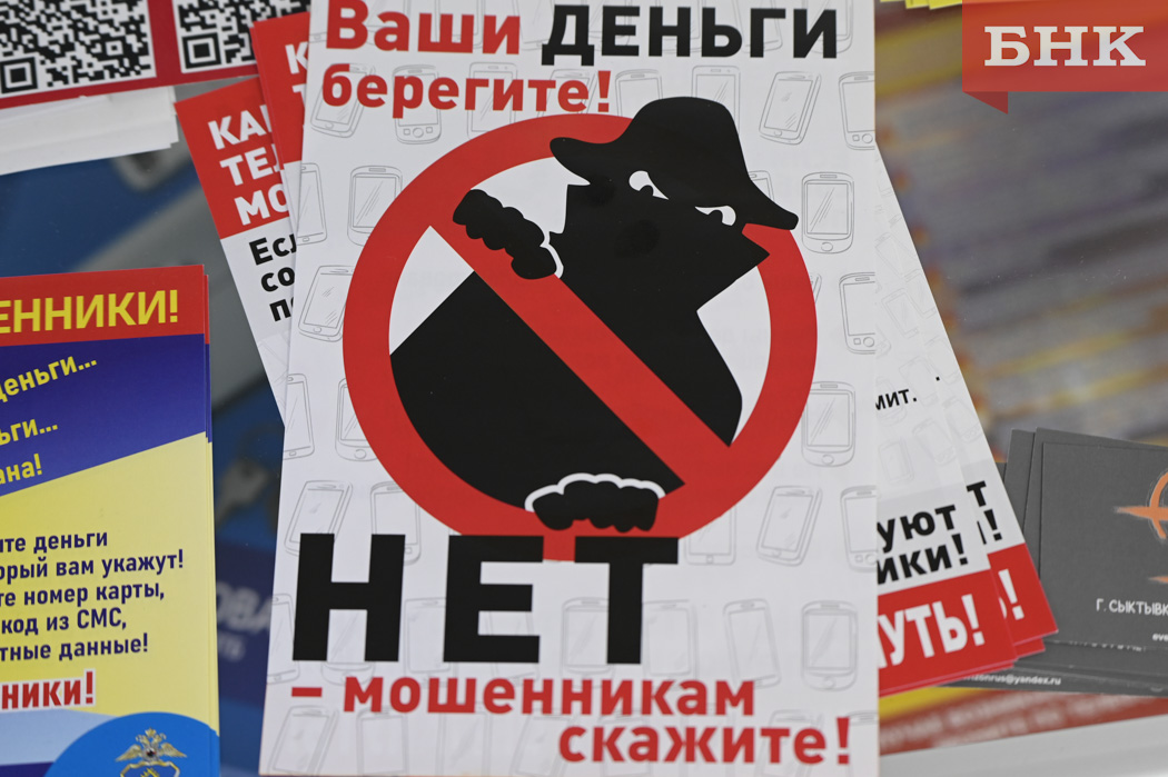 Сыктывкарка оплатила мошенникам покупки на полтора миллиона рублей
