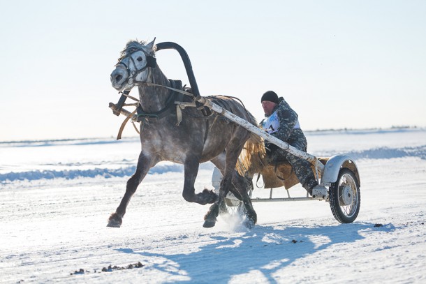 Конный спорт: лошади Усть-Цильмы и Ижмы соревновались  с грузом и без 