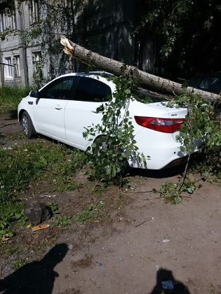 Управление ЖКХ Сыктывкара и УК выясняли в суде, кто ответит за упавшее на автомобиль дерево