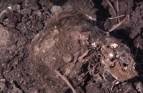 В Ухте начата доследственная проверка по факту обнаружения человеческих останков