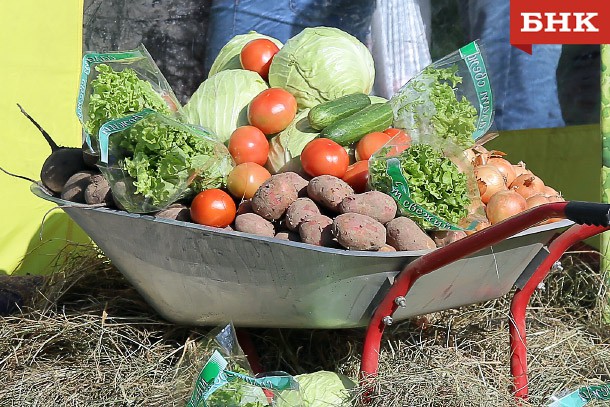 Статистики выяснили, какие овощи подорожали в Коми