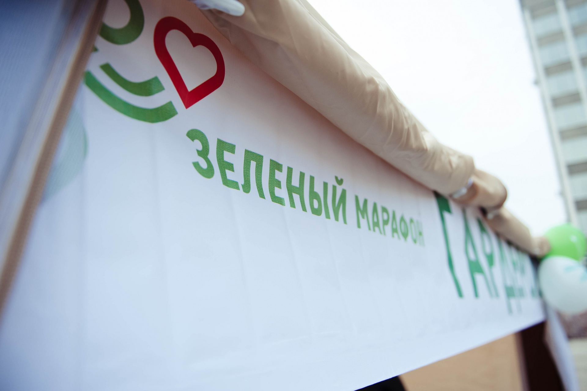Зеленый День Магазин