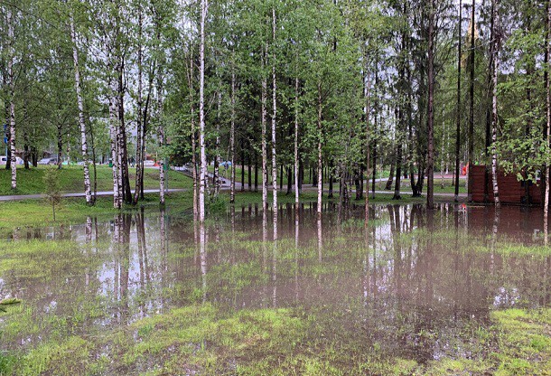 В мэрии Сыктывкара объяснили причины затопления Мичуринского парка 