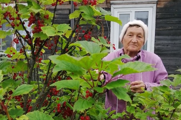 Пропавшую на границе Коми и Архангельской области пожилую женщину нашли мертвой 