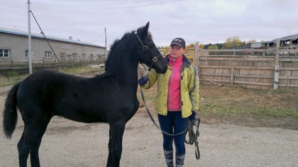 x_abbf138b.jpg x_abbf138b.jpg