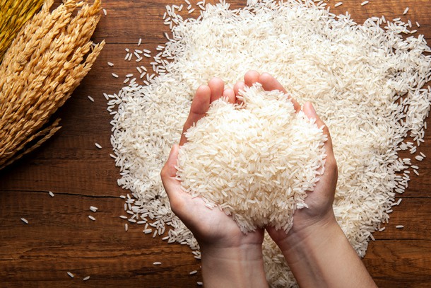 Иордания стала 20-й страной, куда «АФГ Националь» экспортирует кубанский рис при поддержке РСХБ