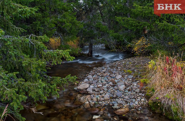 Природному заказнику «Белоборский» в пригороде Сыктывкара оставят остров