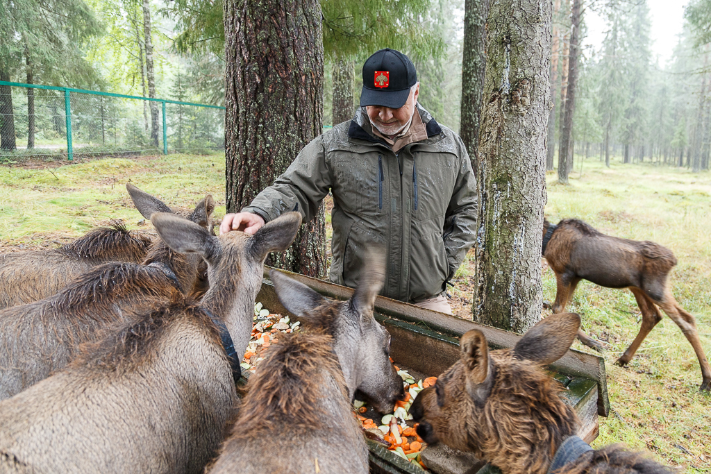 Коми якша фото