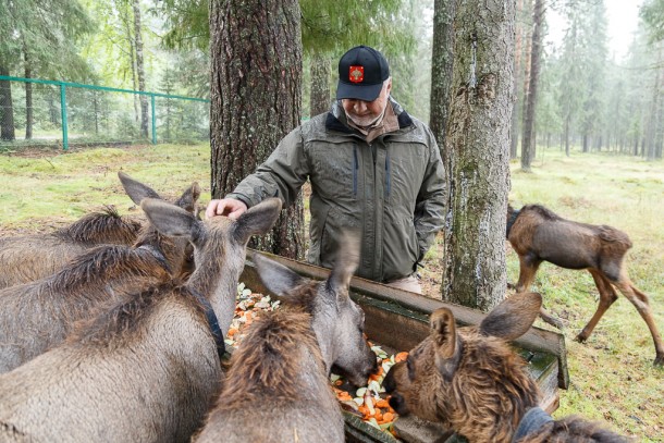 Владимир Уйба: «Лосеферма в Якше – уникальный туристический объект Троицко-Печорского района»