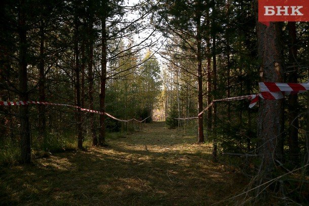 В Печоре пенсионер шесть дней провел в лесу без запасов еды