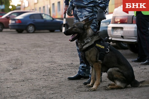 В Корткеросском районе служебная собака помогла найти чайник и приставку