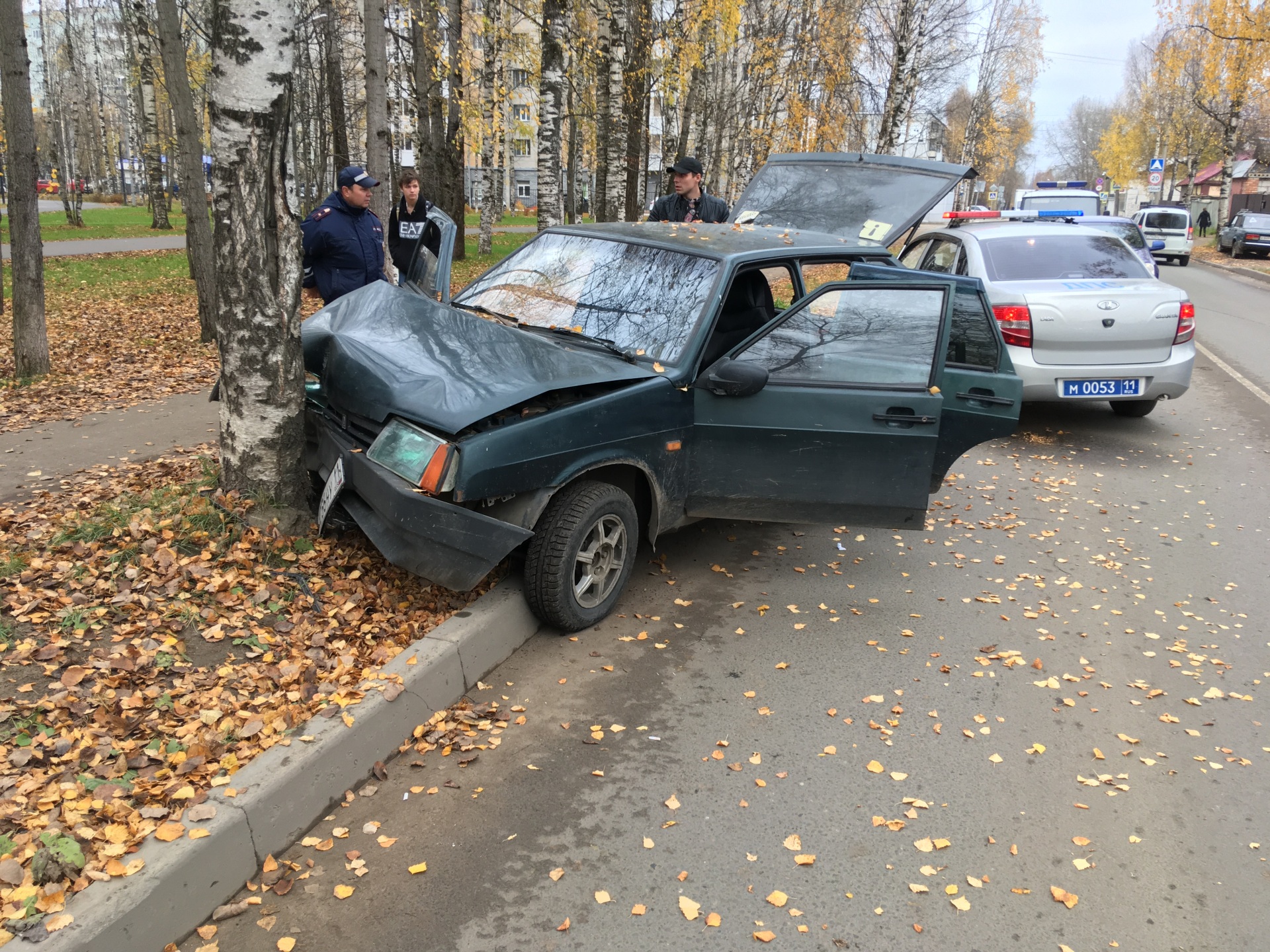 Нетрезвая сыктывкарка «сбила» дерево « БНК