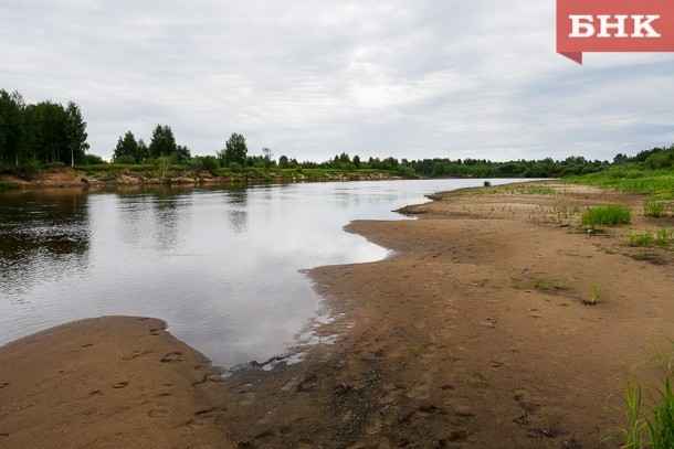 На берегу Ижмы обнаружено растерзанное зверями тело мужчины