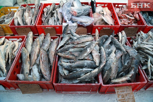 Коммерсанта в Усть-Цильме наказали за «непортящуюся» рыбу