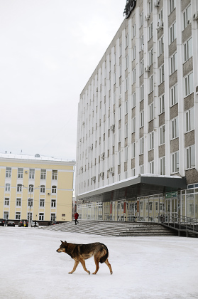 KIR_3310.jpg KIR_3310.jpg