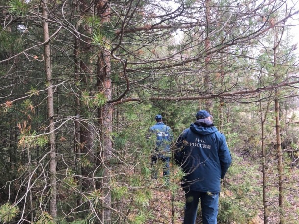 В Емве сотрудники МЧС прочесывают лес