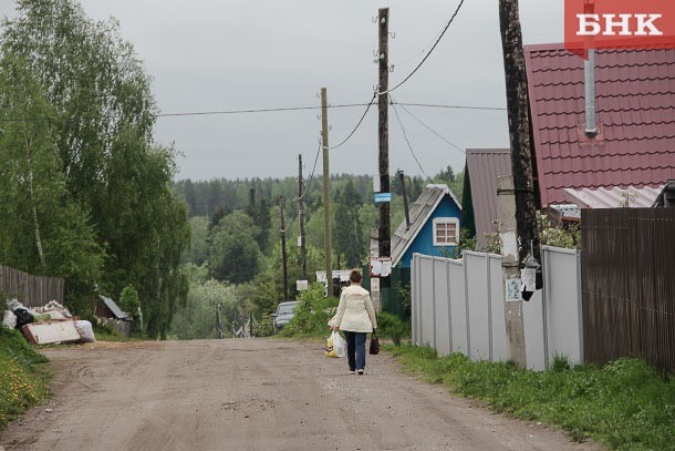 Пандемия возродила интерес россиян к дачам и огородам