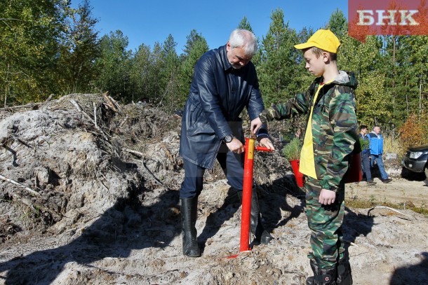 Глава Коми вместе с детьми высадил сосны в Ыбском лесничестве