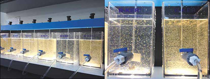 4-6__img_2.jpg 4-6__img_2.jpg