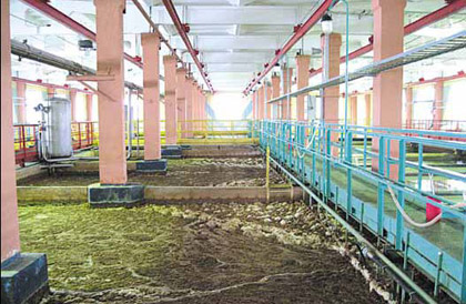 4-6__img_3.jpg 4-6__img_3.jpg