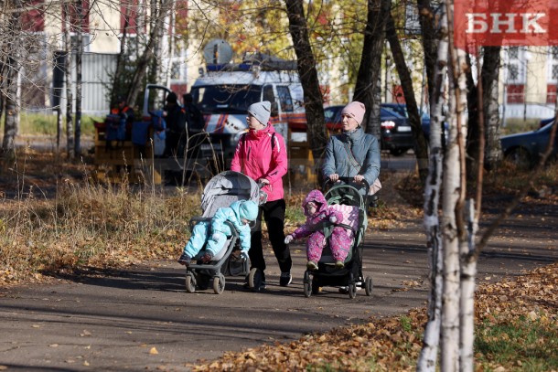 В РАН рассказали о способе улучшить демографию в России