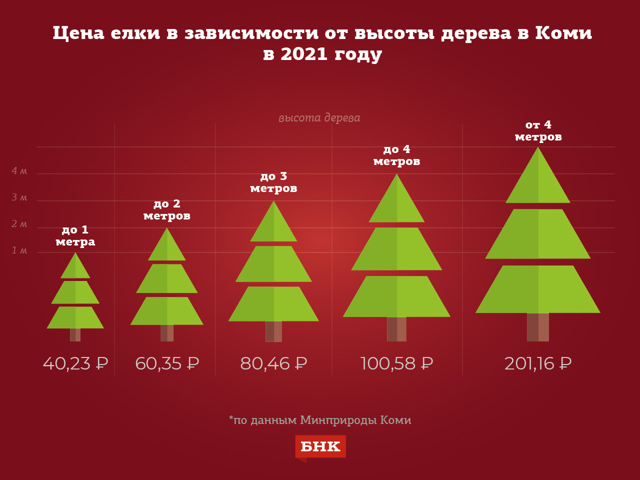 Какая должна быть елка в 2024. Елка 3 метра размер. Статистика вырубания елок на новый год. Сколько лет растет елка до 3 метров. За сколько вырастает елка до 4 метров.