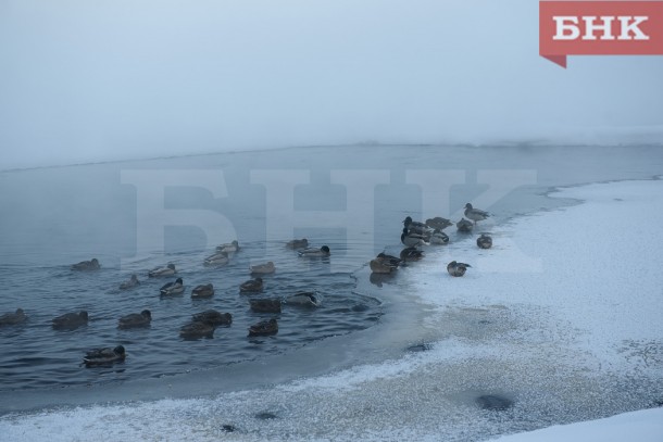 В Коми официально действуют только четыре ледовые дороги