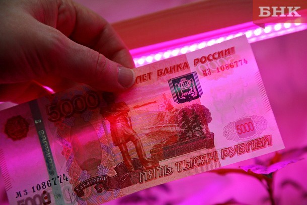 Доверчивая сыктывкарка осталась без двух с половиной миллионов рублей