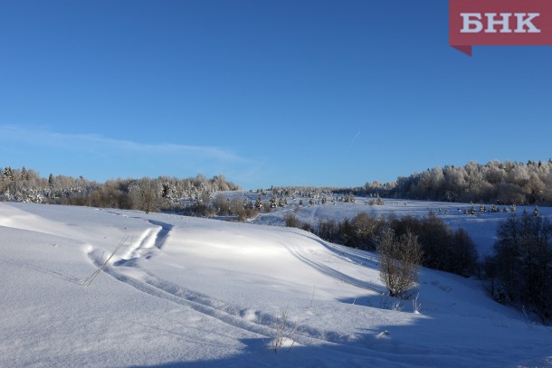 Российской Федерации принадлежит 84 процента территории Коми