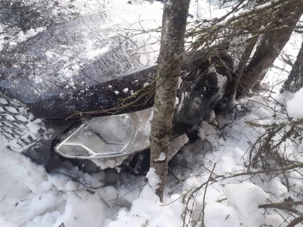 В Корткеросском районе иномарка врезалась в дерево, пострадала школьница