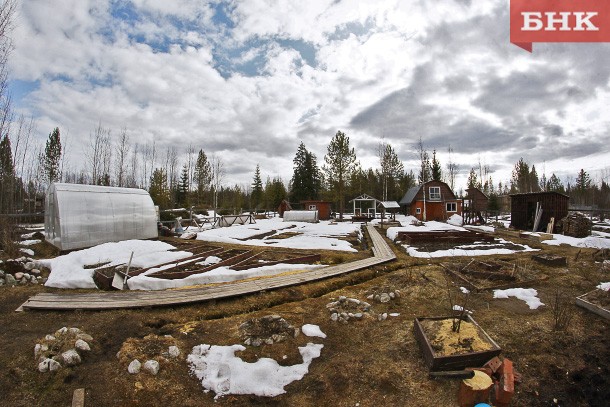 Россияне поделились планами на майские праздники