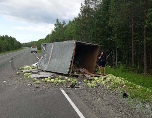 В Прилузье водитель фургона «рассыпал» капусту на дороге