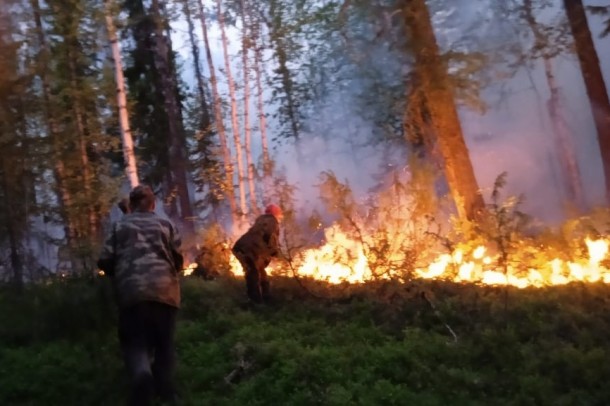 Народный корреспондент: «В Усть-Цилемском районе горит лес»