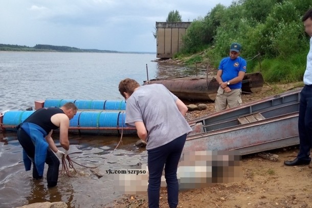 В Жешарте обнаружено тело 17-летней девушки в реке